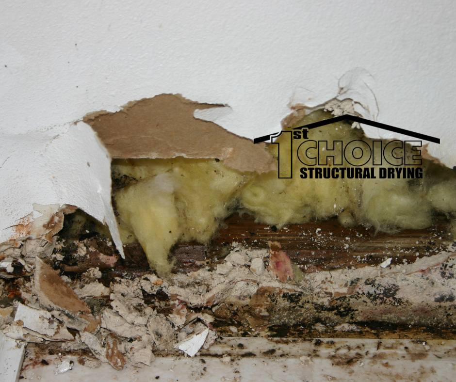 The Top Causes of Water Damage