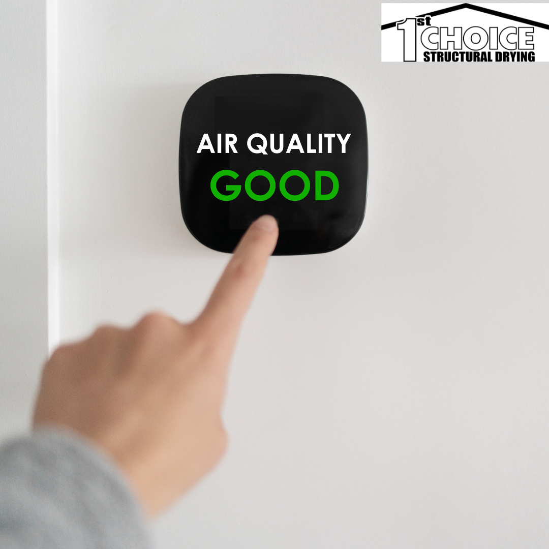 The Connection Between Indoor Air Quality and Drying